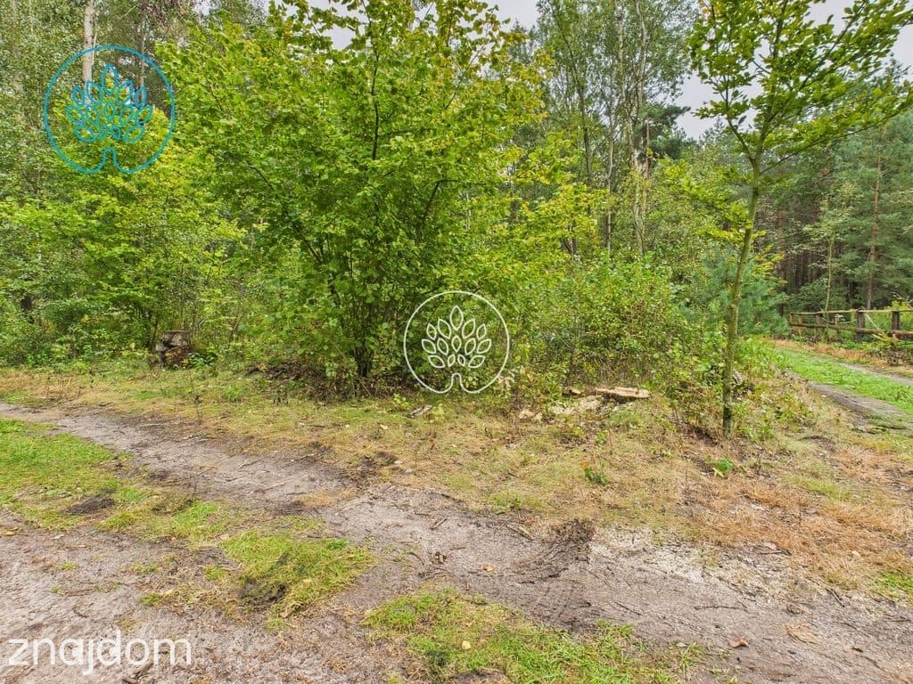 Działka inwestycyjna 34 700 m2 - zdjęcie 2