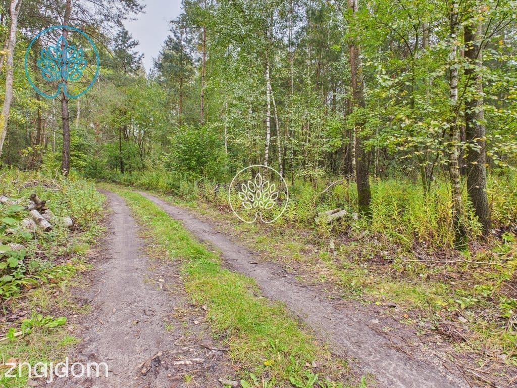 Działka inwestycyjna 34 700 m2 - zdjęcie 4