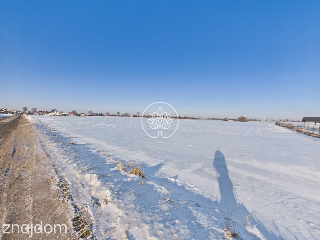 Działka 3000m2 - zdjęcie 4