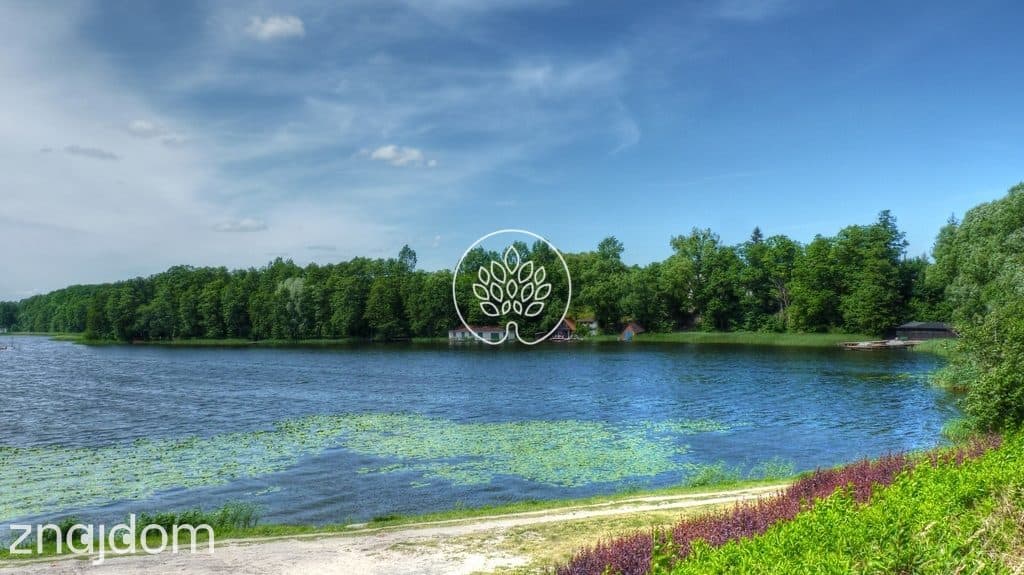 Piękna działka z linią brzegową jeziora ! - zdjęcie 6