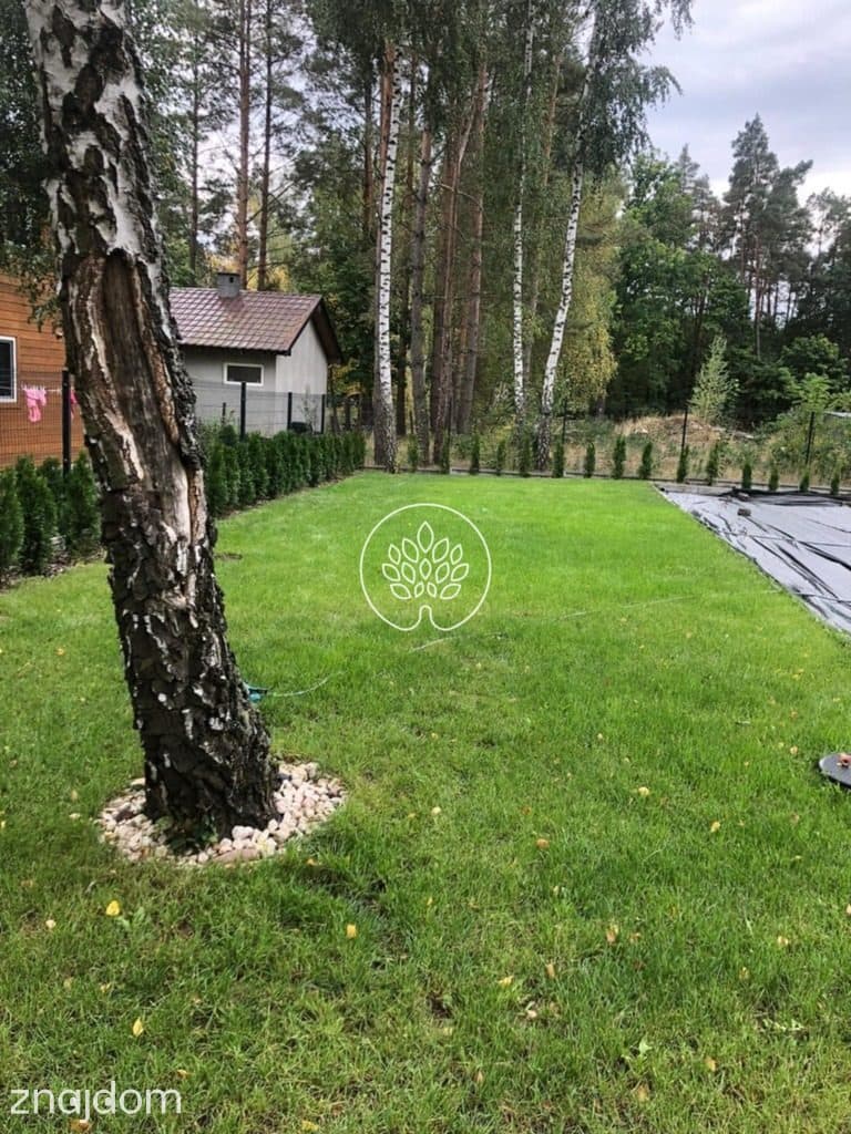 Top działka w kręglu - zdjęcie 2