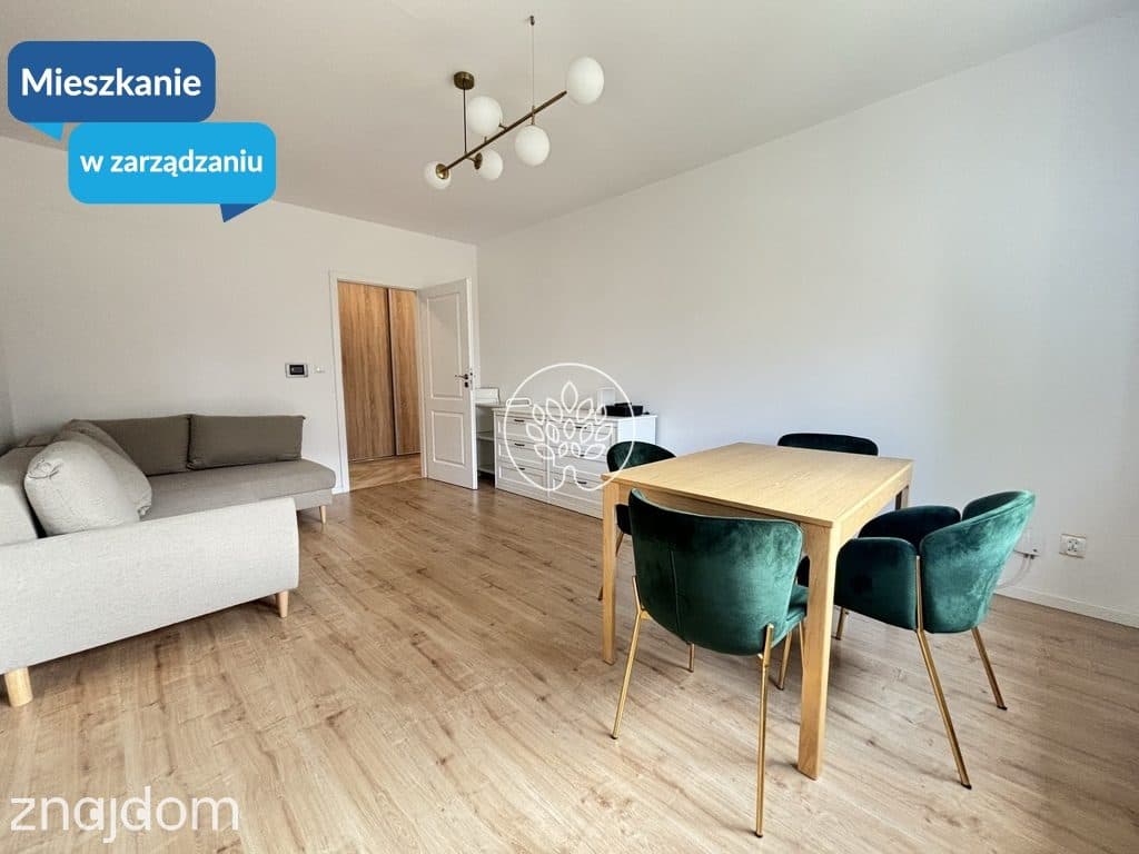 2 pokojowe mieszkanie na Górzyskowie od czerwca