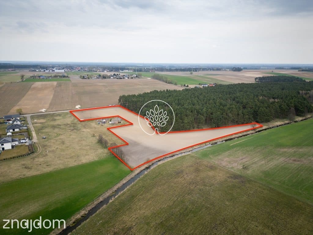Działka inwestycyjna 1,67 ha WZ 8 domów - zdjęcie 6