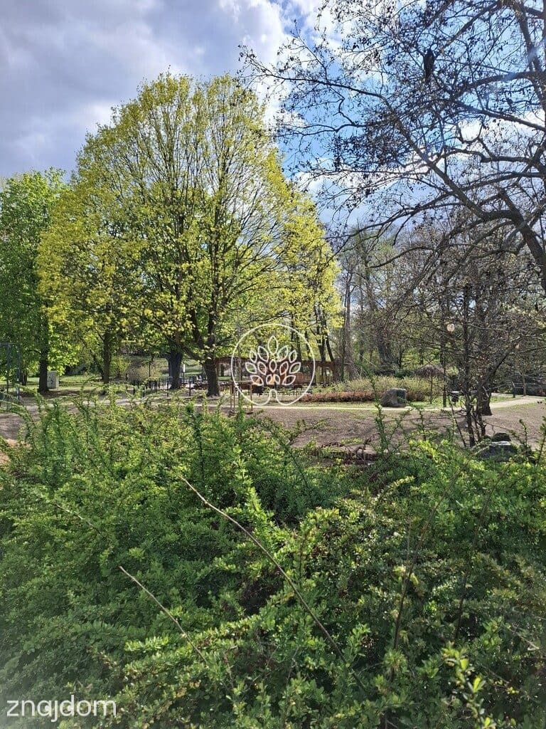 Dobra lokalizacja/Inwestycyjne - zdjęcie 7