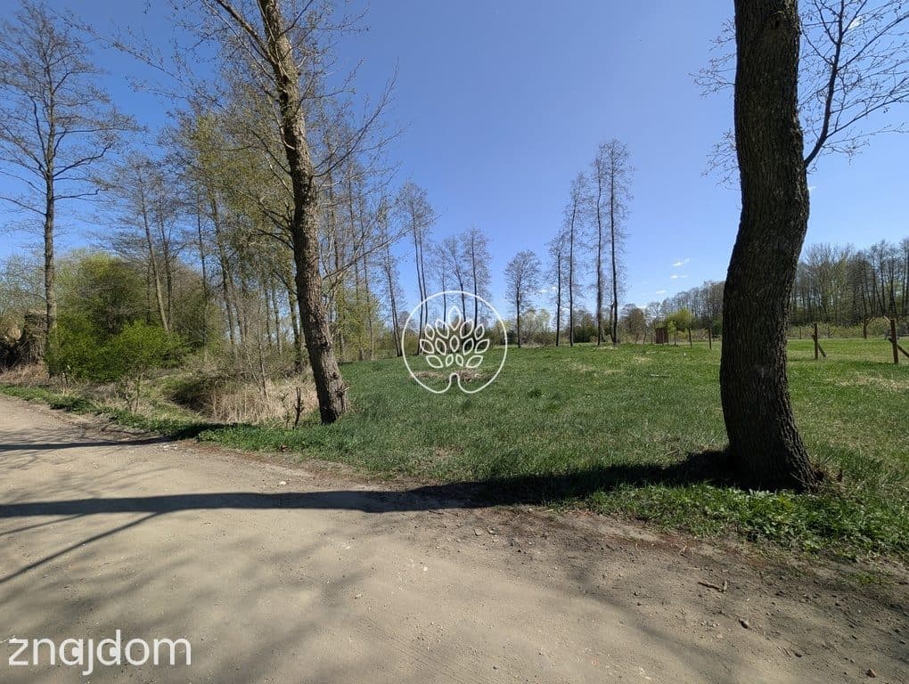 Działka z prądem, WZ i projektem - Otorowo - zdjęcie 5