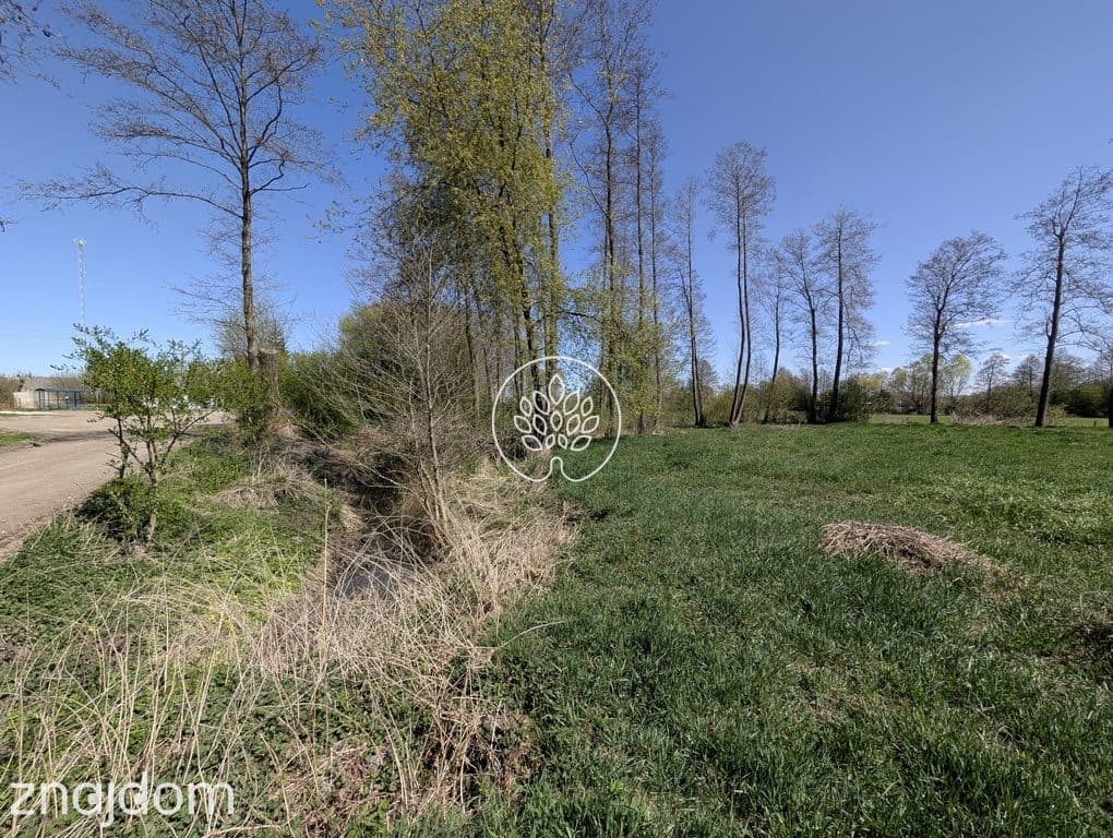 Działka z prądem, WZ i projektem - Otorowo - zdjęcie 3