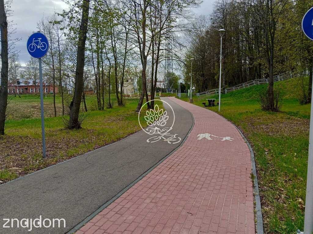 Działki rekreacyjne w Dzbądzu – prąd, las, Narew - zdjęcie 4