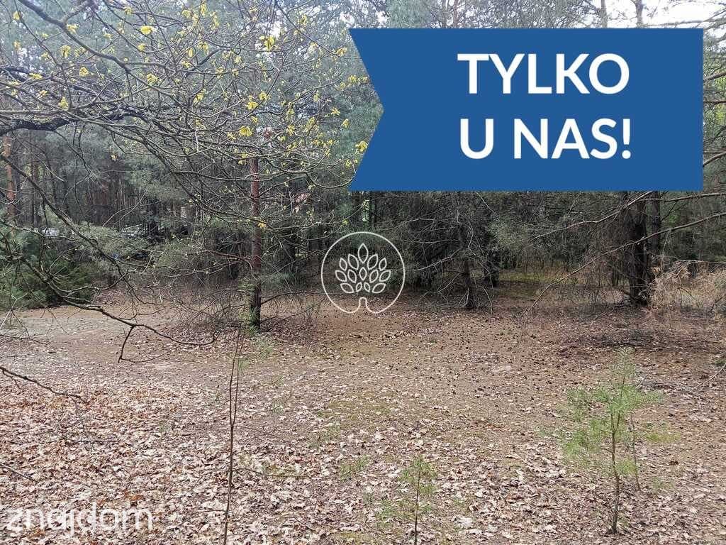 Działki rekreacyjne w Dzbądzu – prąd, las, Narew