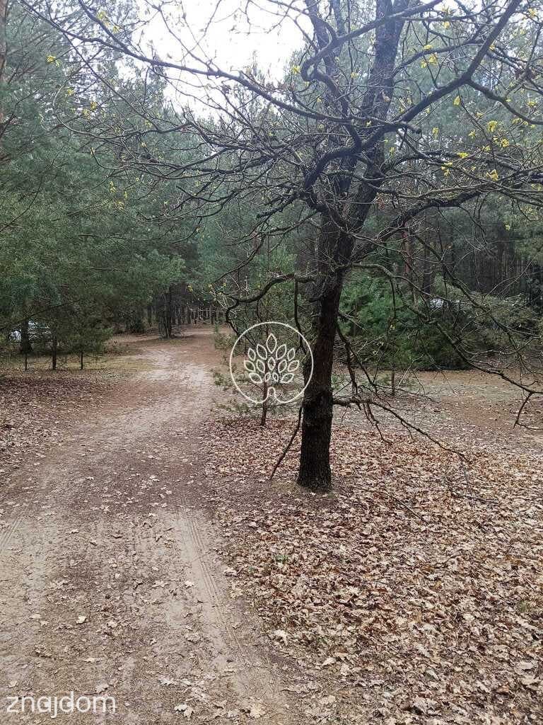 Działki rekreacyjne w Dzbądzu – prąd, las, Narew - zdjęcie 7