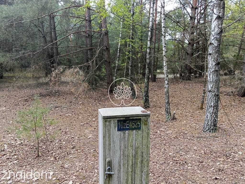 Działki rekreacyjne w Dzbądzu – prąd, las, Narew - zdjęcie 11