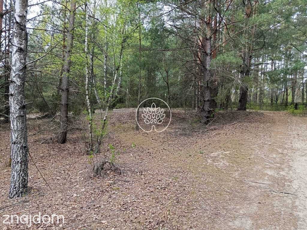 Działki rekreacyjne w Dzbądzu – prąd, las, Narew - zdjęcie 12