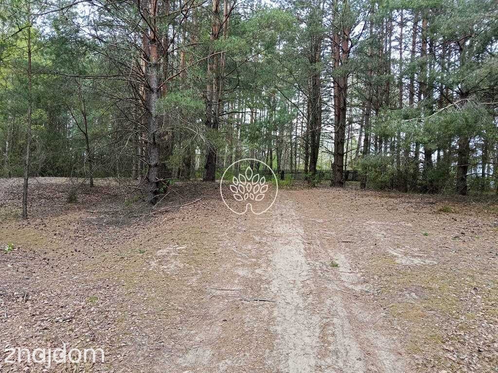 Działki rekreacyjne w Dzbądzu – prąd, las, Narew - zdjęcie 13