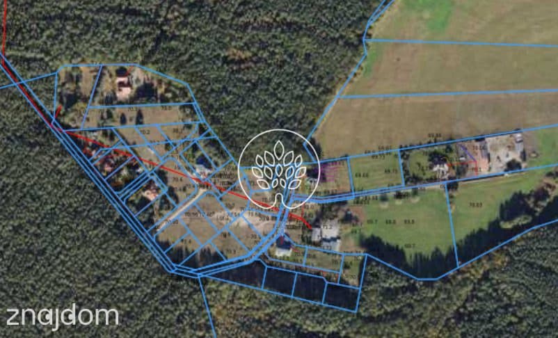 1585m2 | Ściana lasu | MPZP - zdjęcie 14