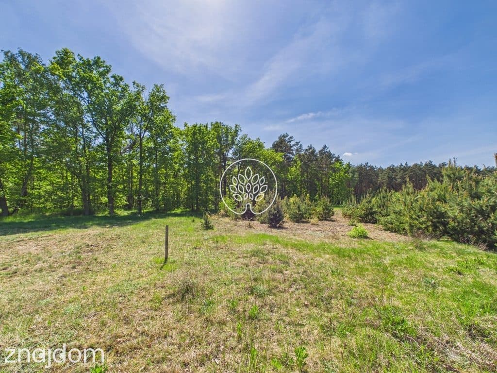 1585m2 | Ściana lasu | MPZP - zdjęcie 9