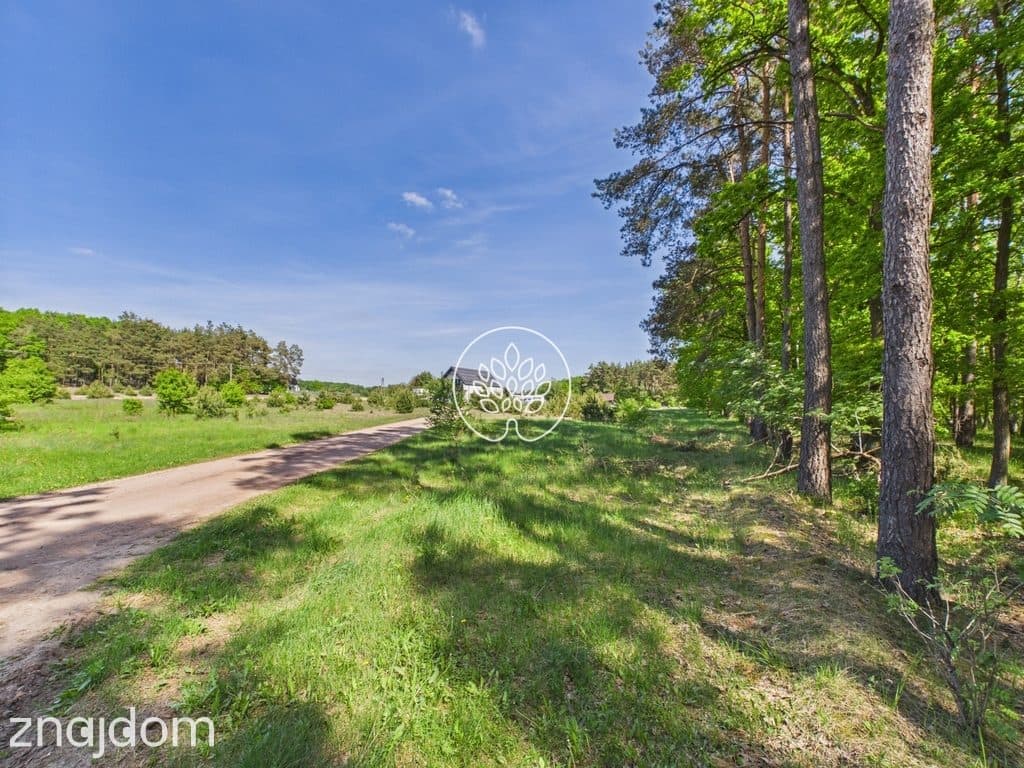1585m2 | Ściana lasu | MPZP - zdjęcie 12