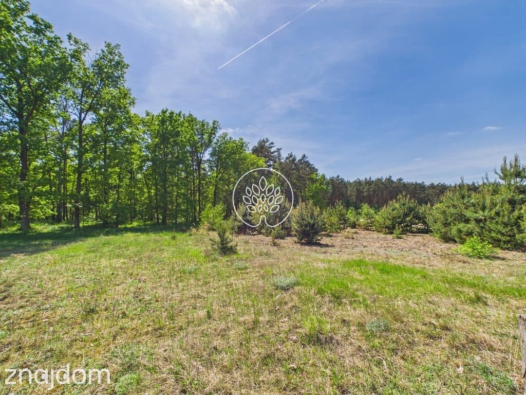 1585m2 | Ściana lasu | MPZP - zdjęcie 10