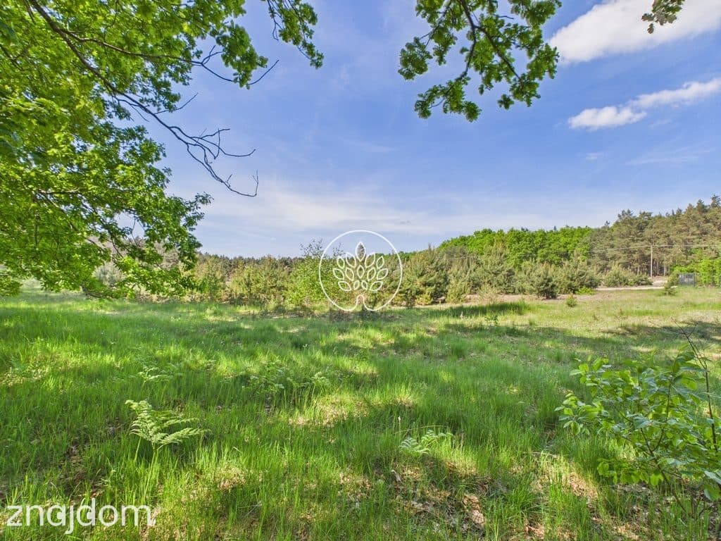 1585m2 | Ściana lasu | MPZP - zdjęcie 11