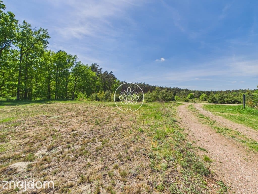 1585m2 | Ściana lasu | MPZP - zdjęcie 13