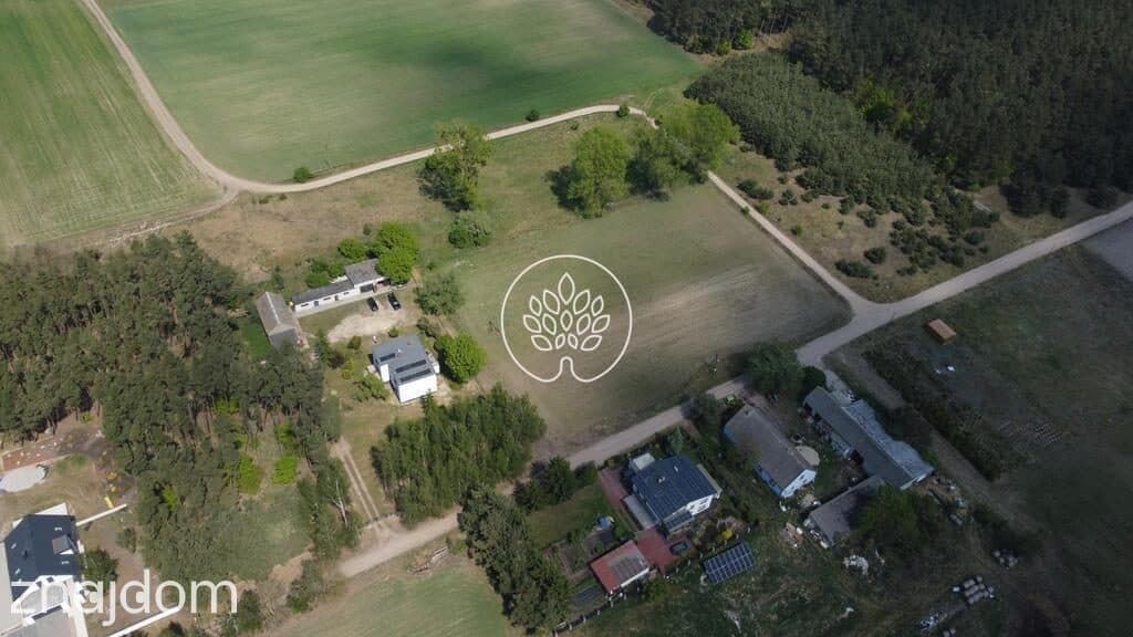 Tarkowo Dolne, działka 3000m2, warunki zabudowy - zdjęcie 3