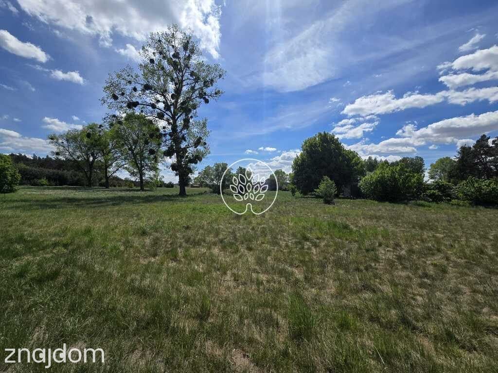 Tarkowo Dolne, działka 3000m2, warunki zabudowy - zdjęcie 9
