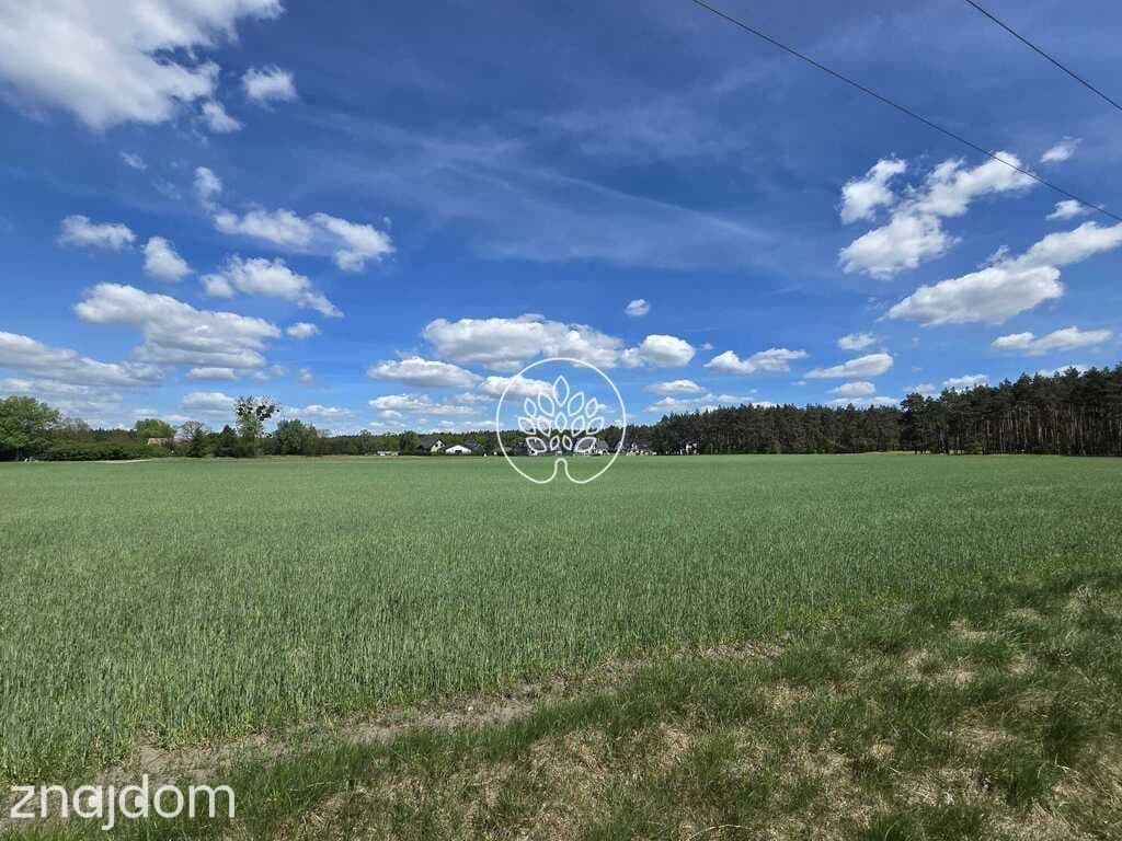 Tarkowo Dolne, działka 3000m2, warunki zabudowy - zdjęcie 10