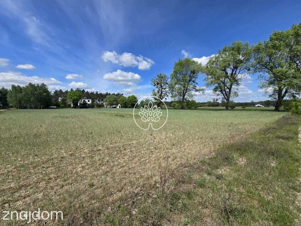 Tarkowo Dolne, działka 3000m2, warunki zabudowy - zdjęcie 15