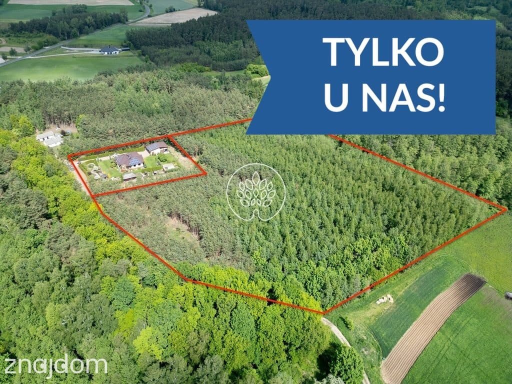 Dom w środku własnego Lasu. Cisza i spokój