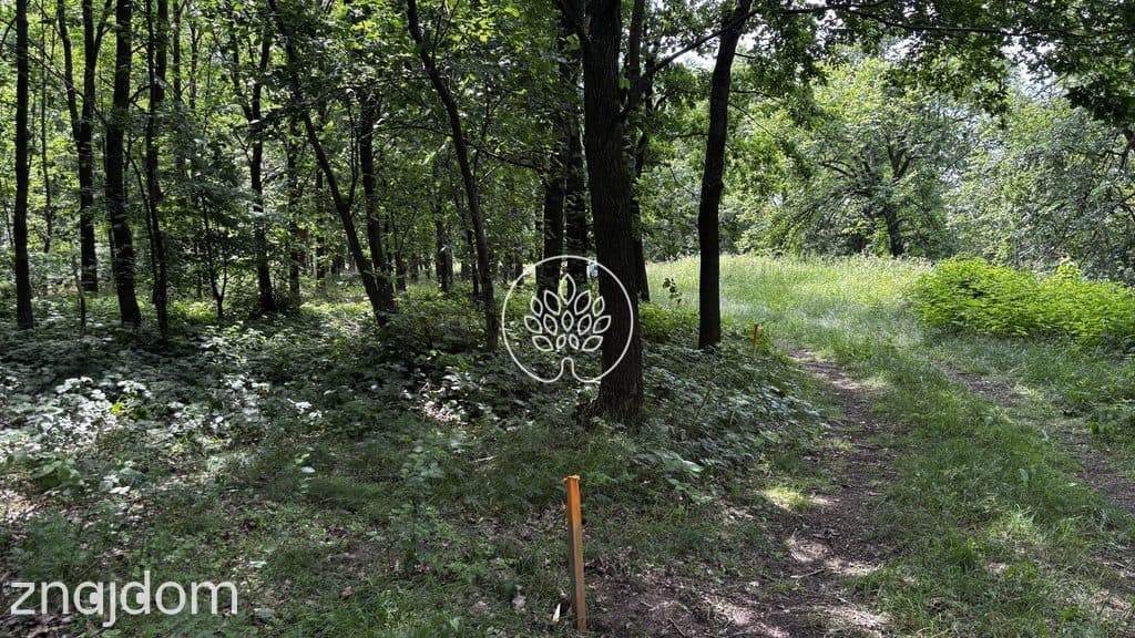 Twój własny ośrodek wypoczynkowy - zdjęcie 17