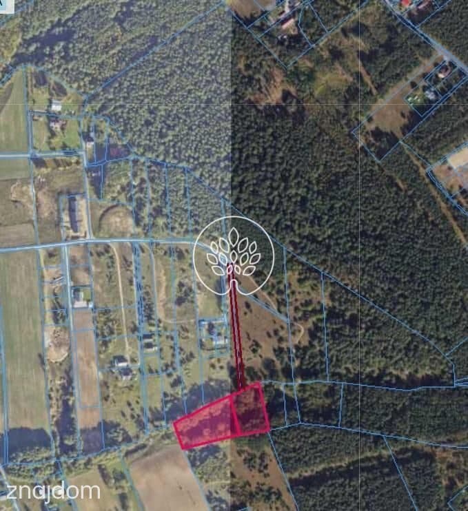 8200 m² z MPZP i Warunkami Zabudowy - zdjęcie 5
