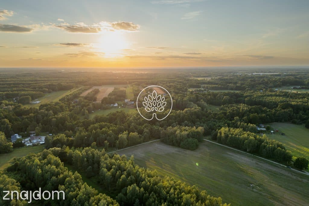 Prywatność / Natura / Działka pod siedlisko / 3 ha