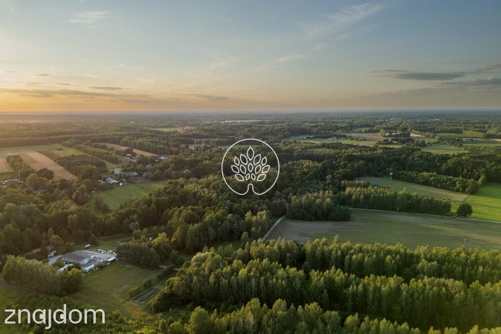 Prywatność / Natura / Działka pod siedlisko / 3 ha - zdjęcie 4