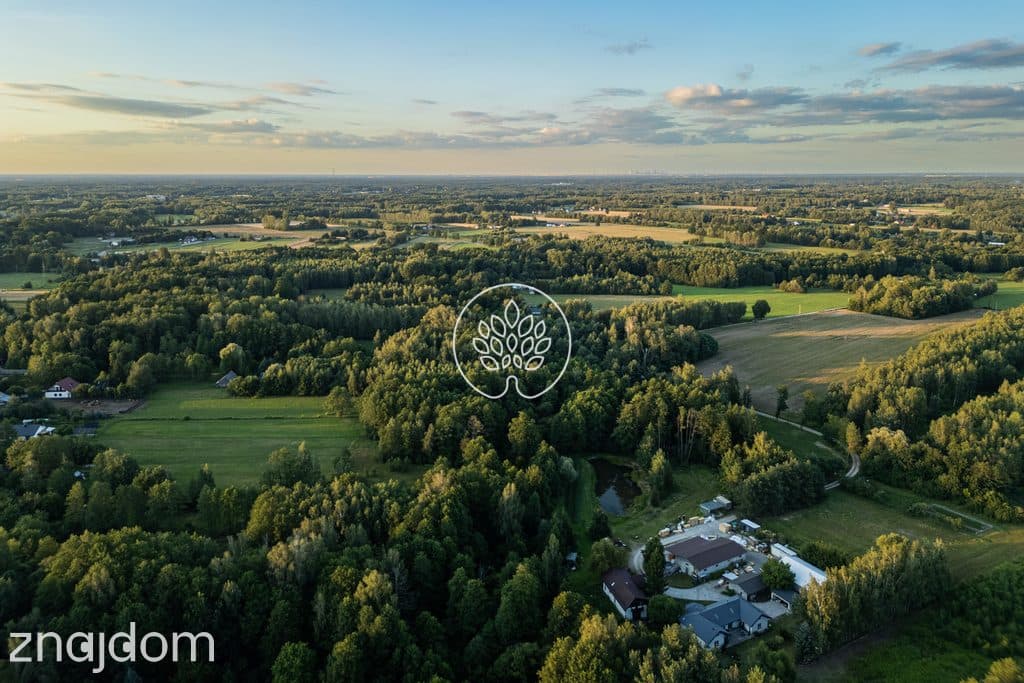 Prywatność / Natura / Działka pod siedlisko / 3 ha - zdjęcie 6