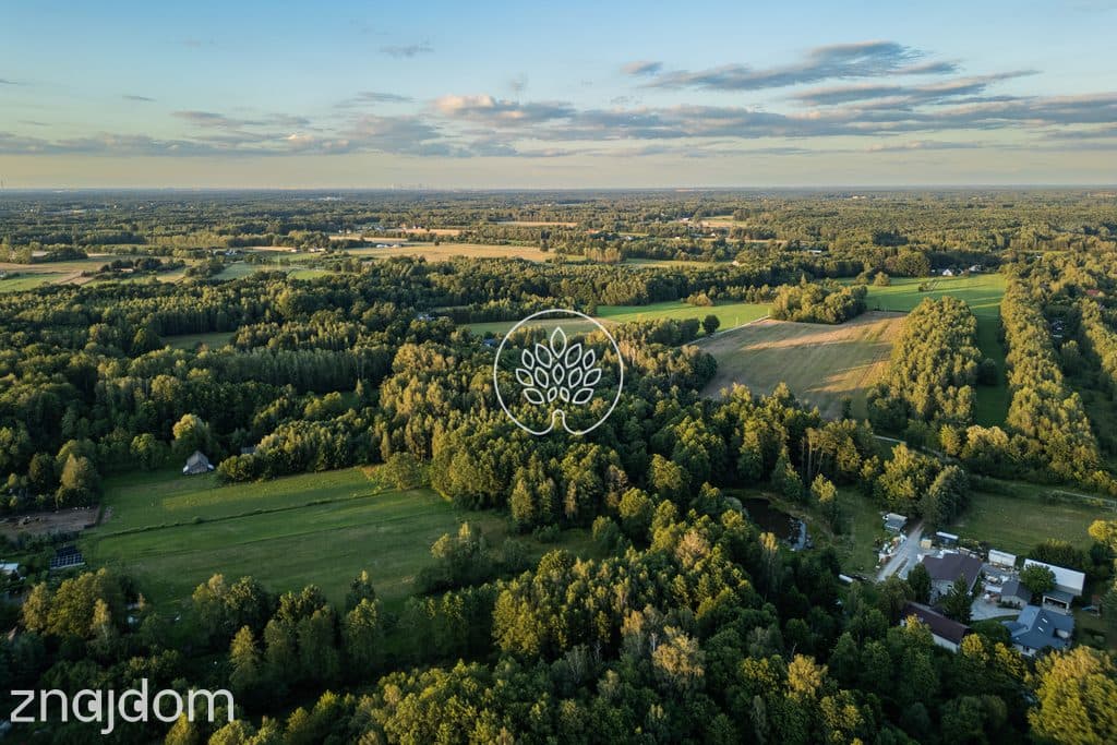 Prywatność / Natura / Działka pod siedlisko / 3 ha - zdjęcie 7