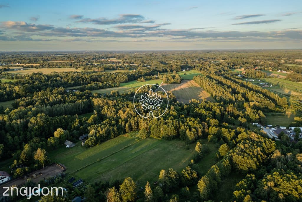 Prywatność / Natura / Działka pod siedlisko / 3 ha - zdjęcie 8