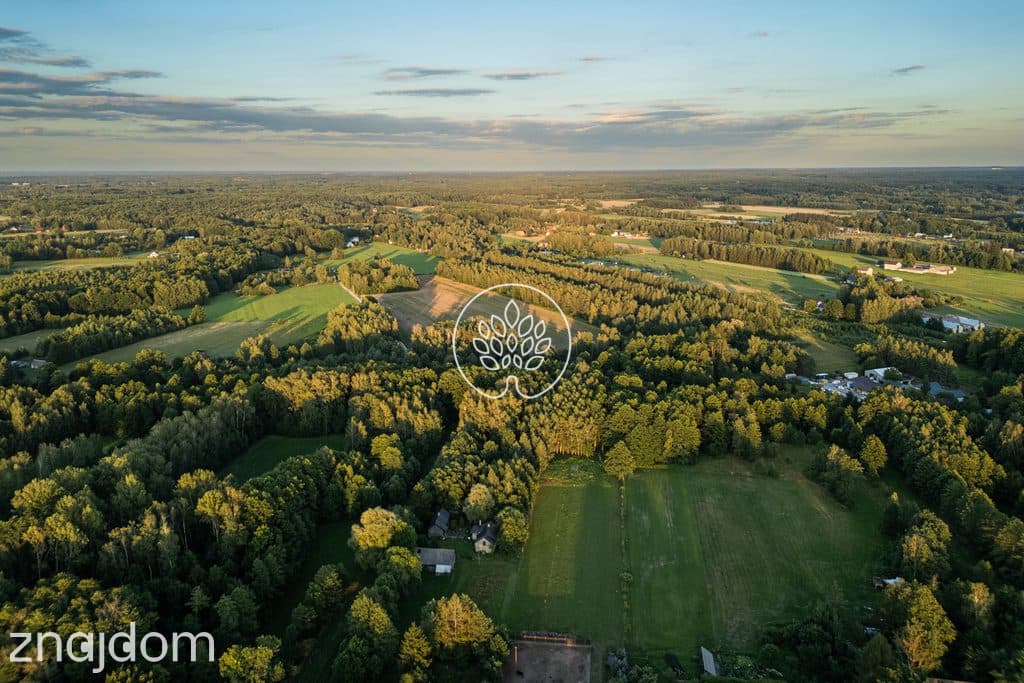 Prywatność / Natura / Działka pod siedlisko / 3 ha - zdjęcie 9