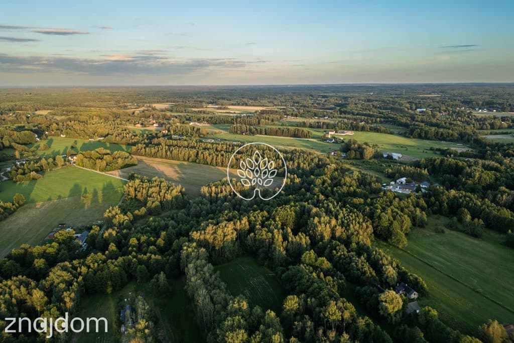 Prywatność / Natura / Działka pod siedlisko / 3 ha - zdjęcie 10