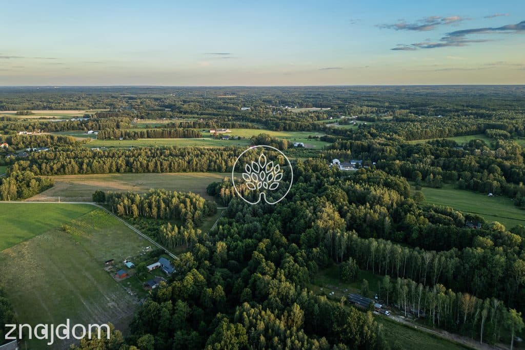 Prywatność / Natura / Działka pod siedlisko / 3 ha - zdjęcie 11