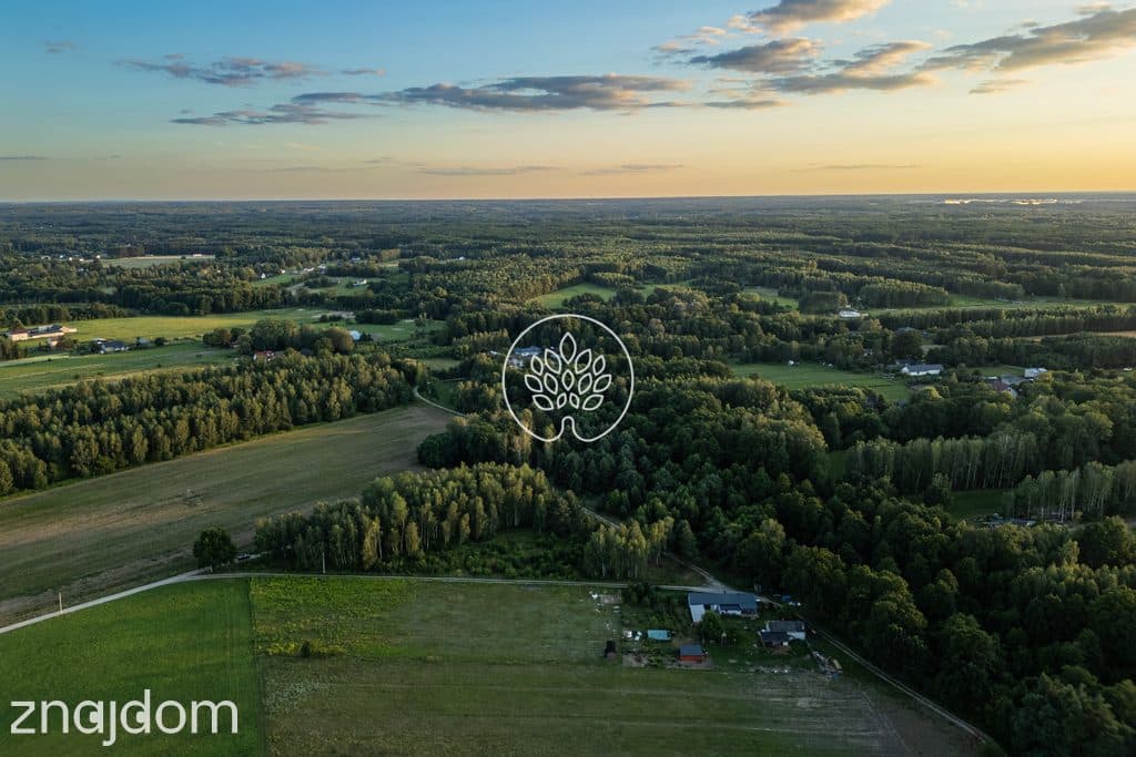 Prywatność / Natura / Działka pod siedlisko / 3 ha - zdjęcie 12