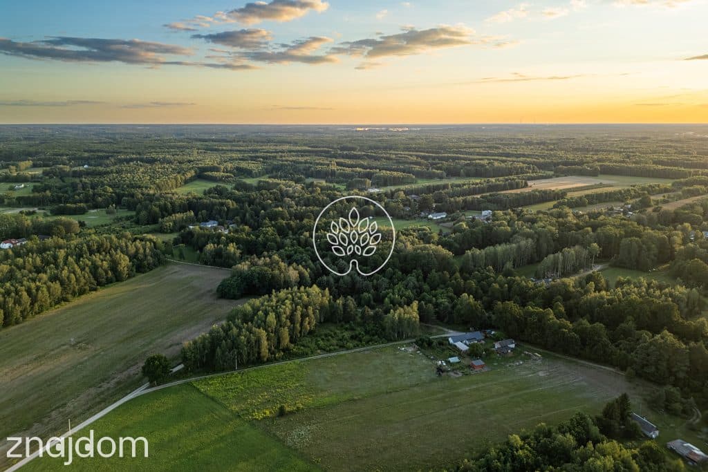 Prywatność / Natura / Działka pod siedlisko / 3 ha - zdjęcie 13