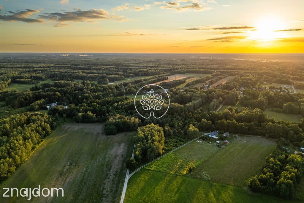 Prywatność / Natura / Działka pod siedlisko / 3 ha - zdjęcie 14
