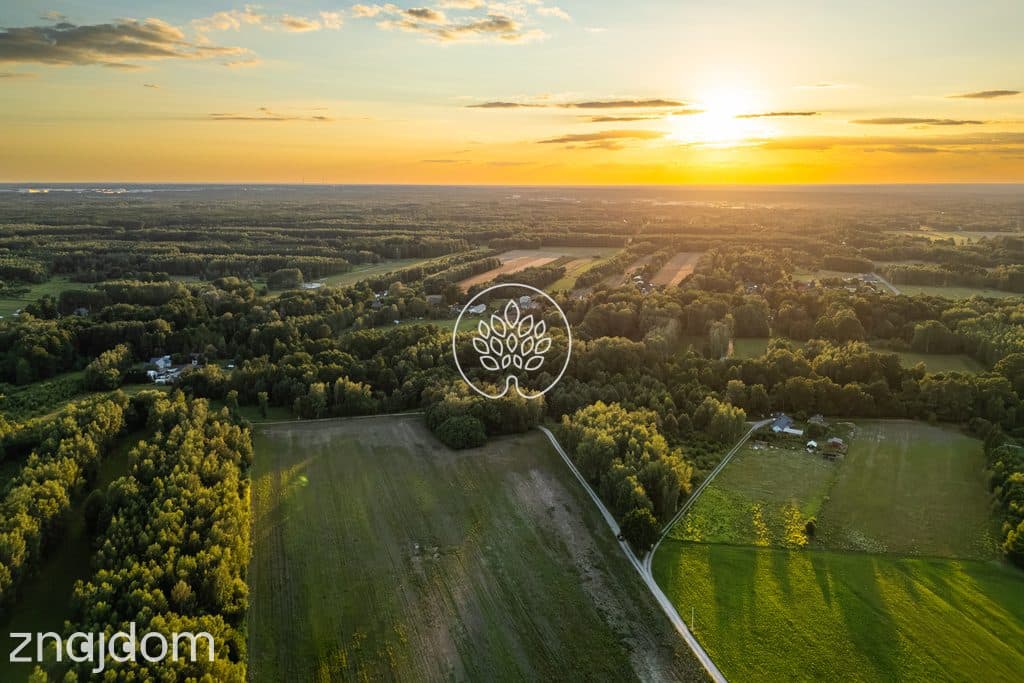 Prywatność / Natura / Działka pod siedlisko / 3 ha - zdjęcie 15
