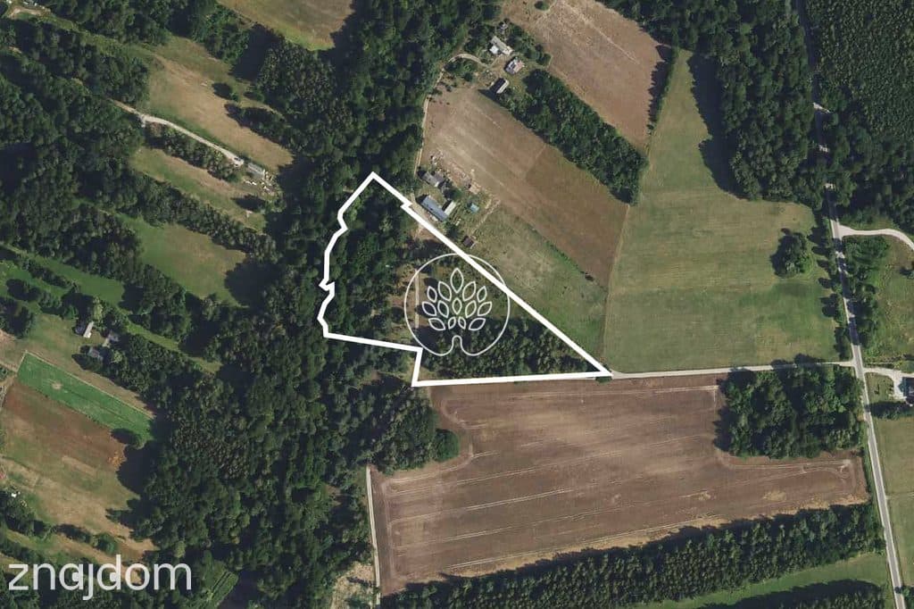 Prywatność / Natura / Działka pod siedlisko / 3 ha - zdjęcie 2