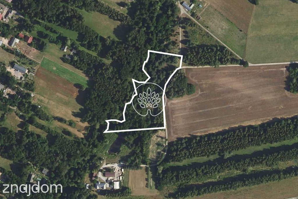 Prywatność / Natura / Działka pod siedlisko / 3 ha - zdjęcie 3