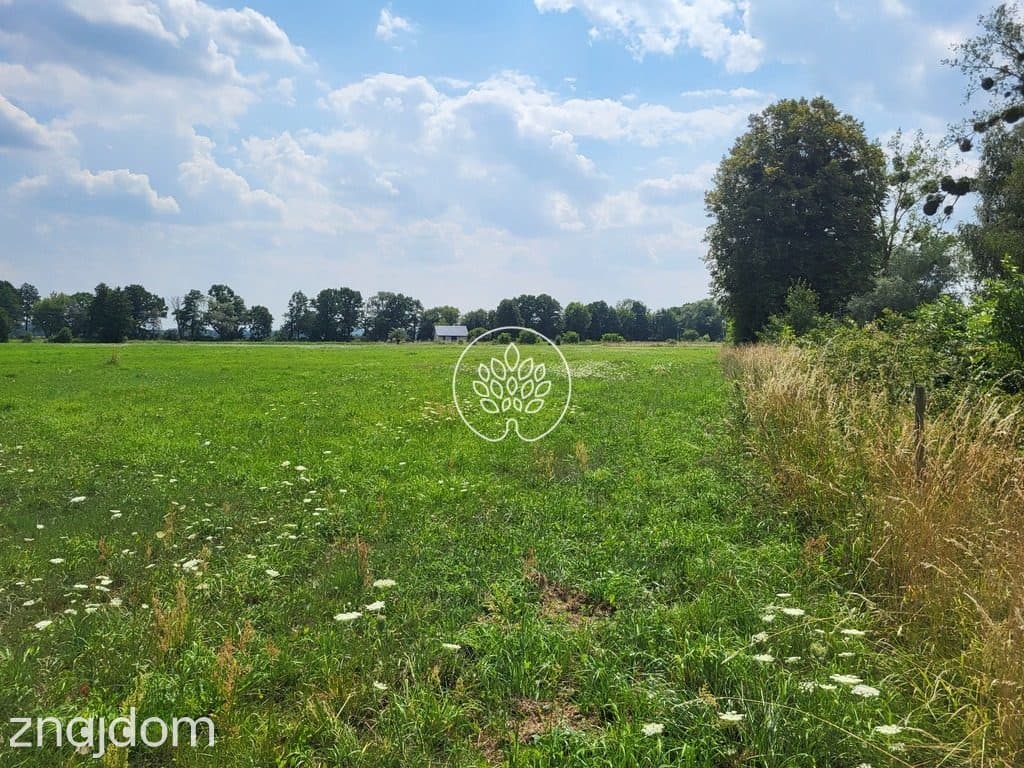 DZIAŁKI BUDOWLANE NA SPRZEDAŻ | ROJEWICE |