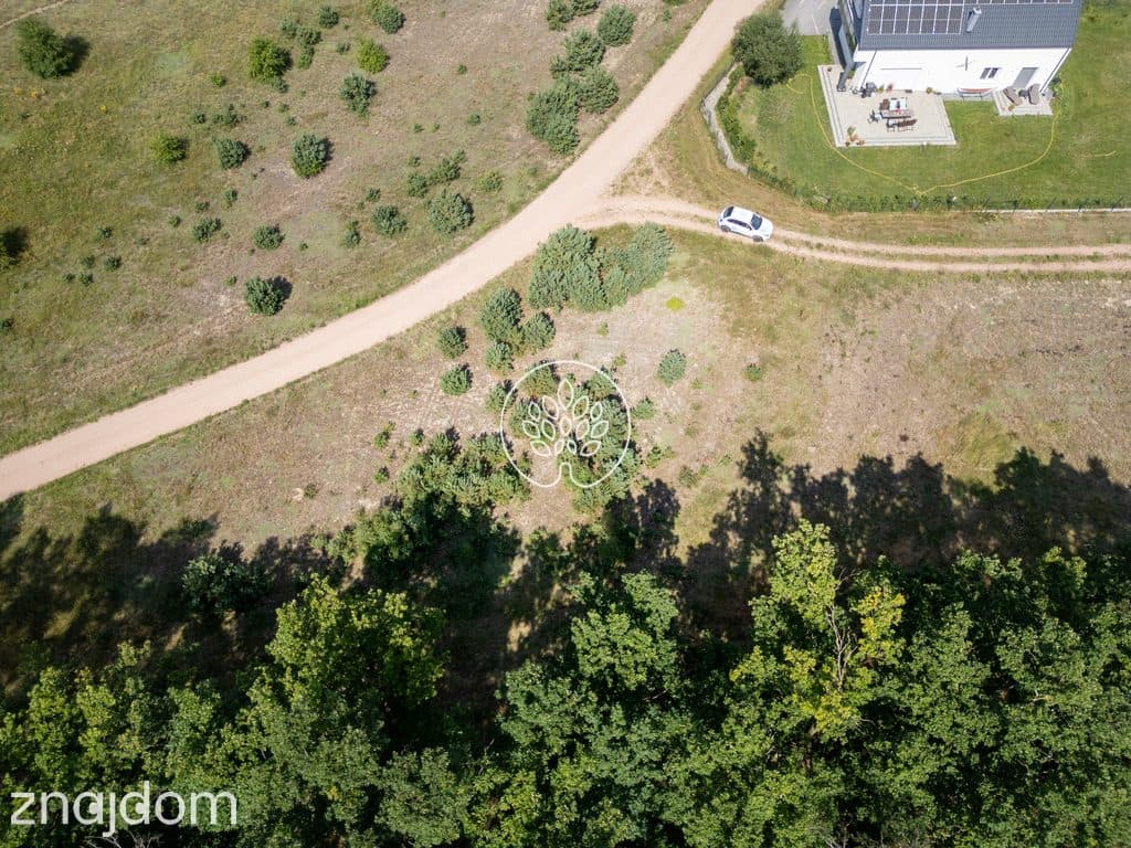 1585m2 | Ściana lasu | MPZP - zdjęcie 6