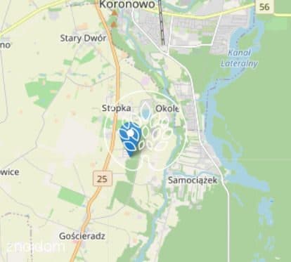 Działka urokliwa na skraju lasu . - zdjęcie 5