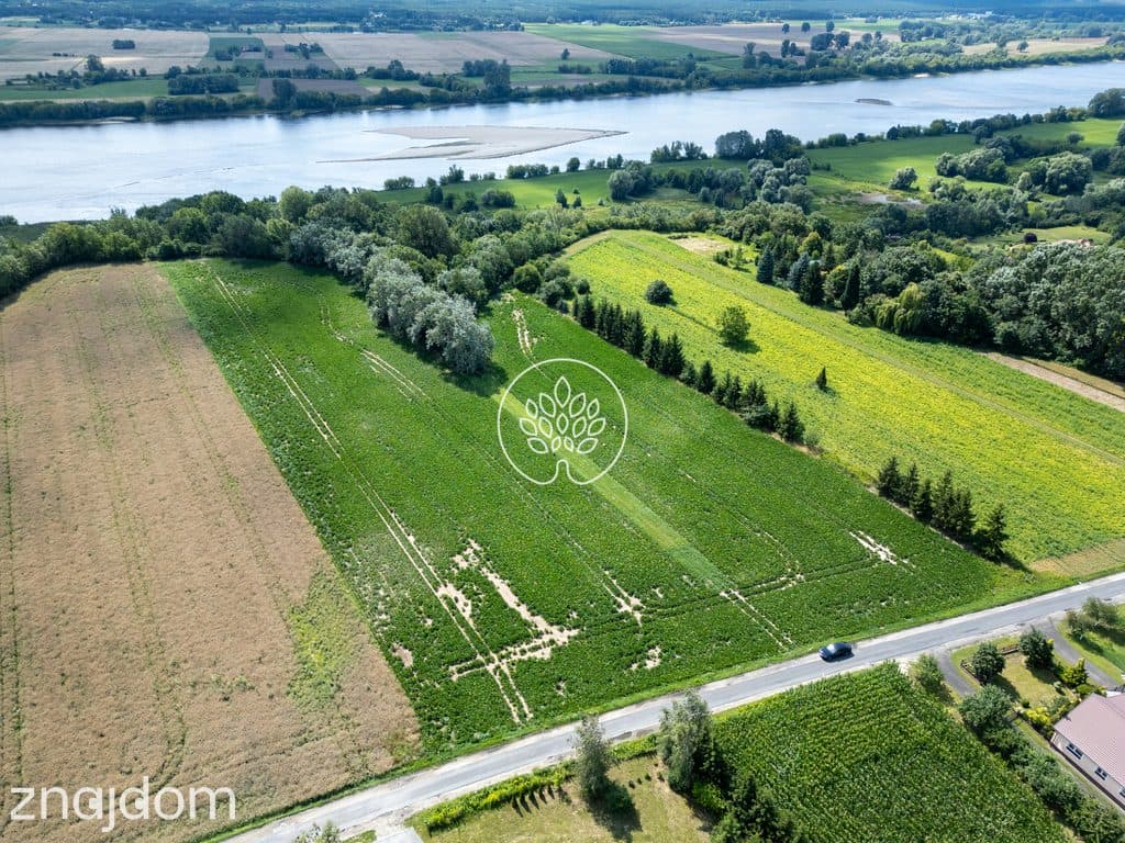 1,75 ha | WZ na 6 domów | 15 min od Bydgoszczy - zdjęcie 4