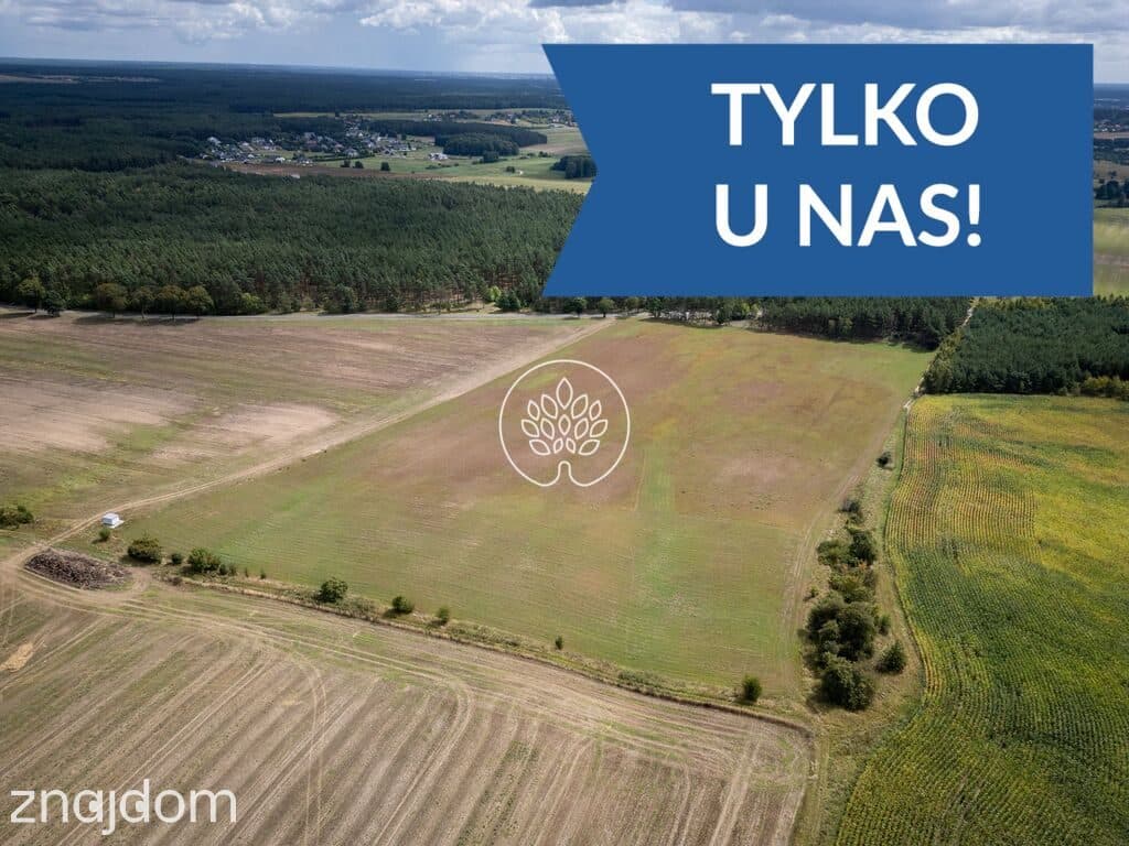 5 ha TERENU INWESTYCYJNEGO | DĄBRÓWKA NOWA | S10