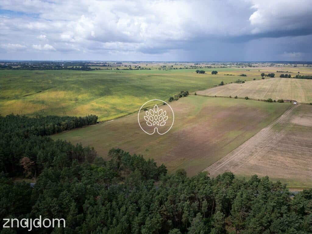 5 ha TERENU INWESTYCYJNEGO | DĄBRÓWKA NOWA | S10 - zdjęcie 2