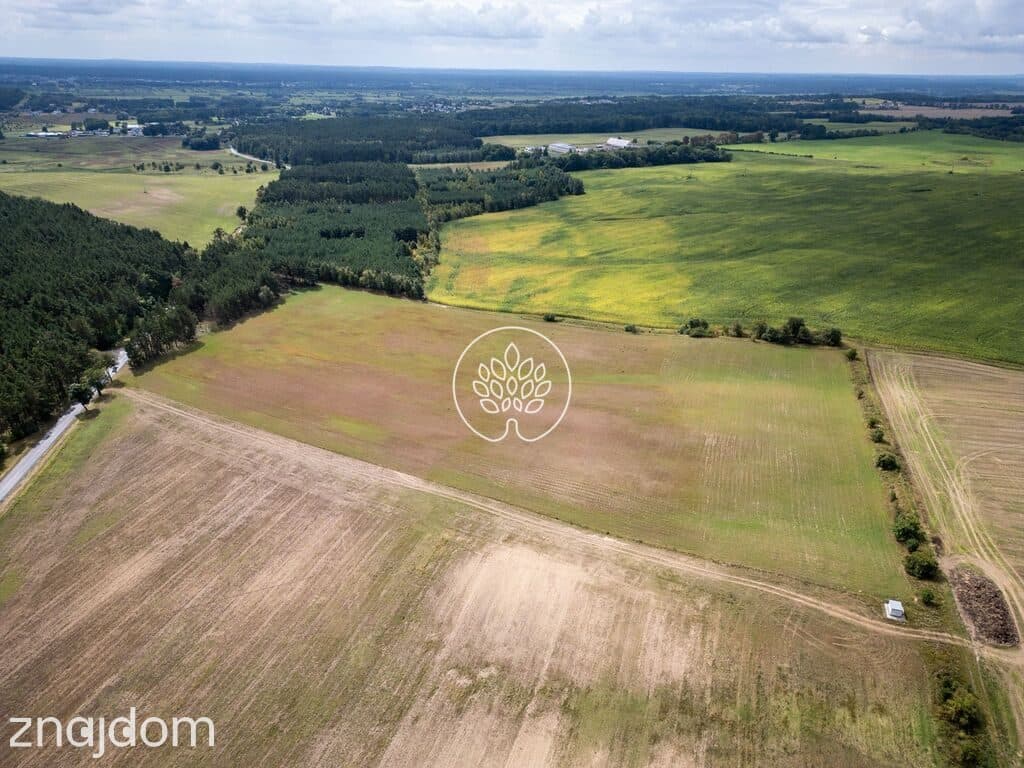 5 ha TERENU INWESTYCYJNEGO | DĄBRÓWKA NOWA | S10 - zdjęcie 3
